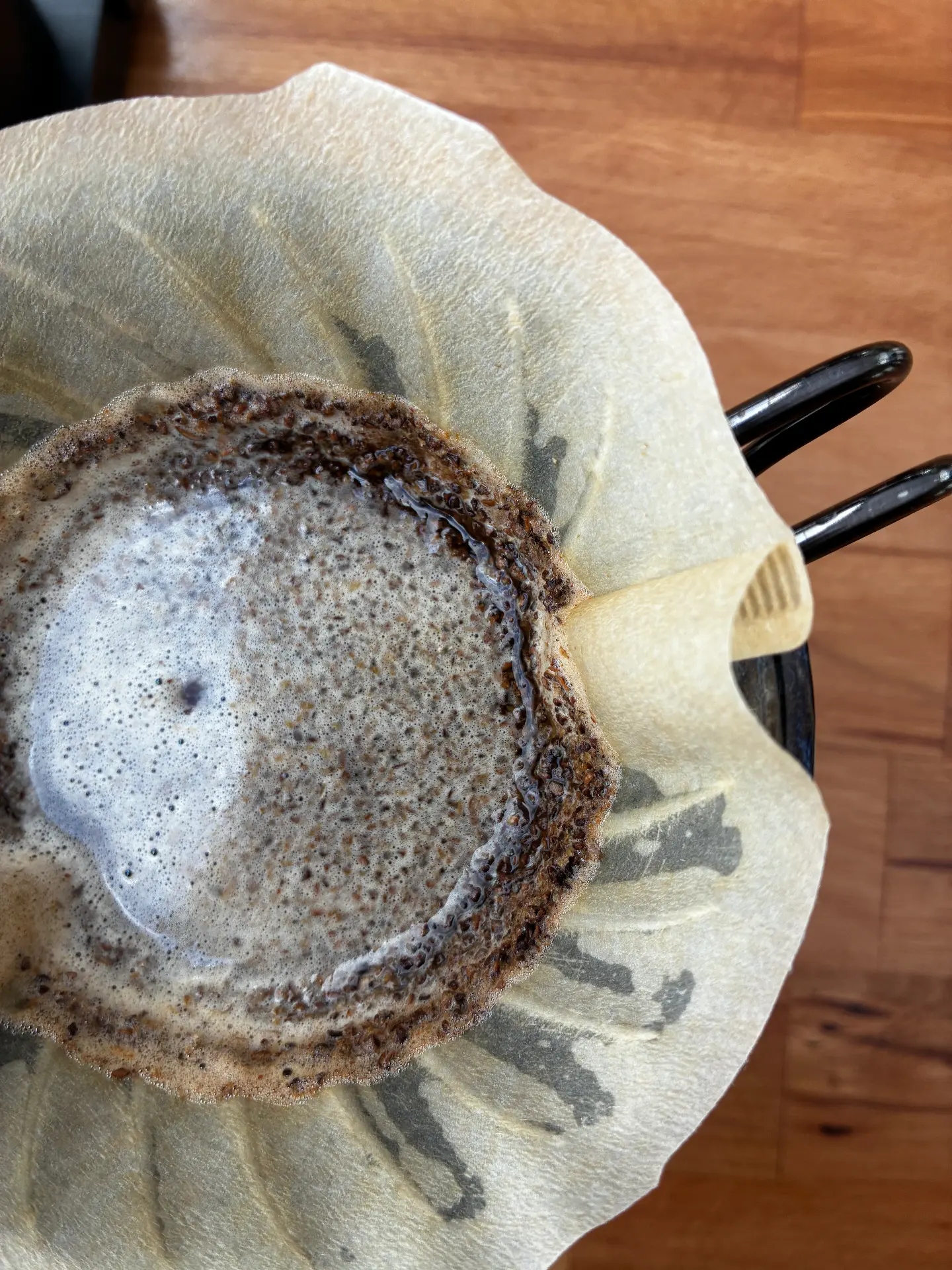 Filtru V60, infuzie atentă